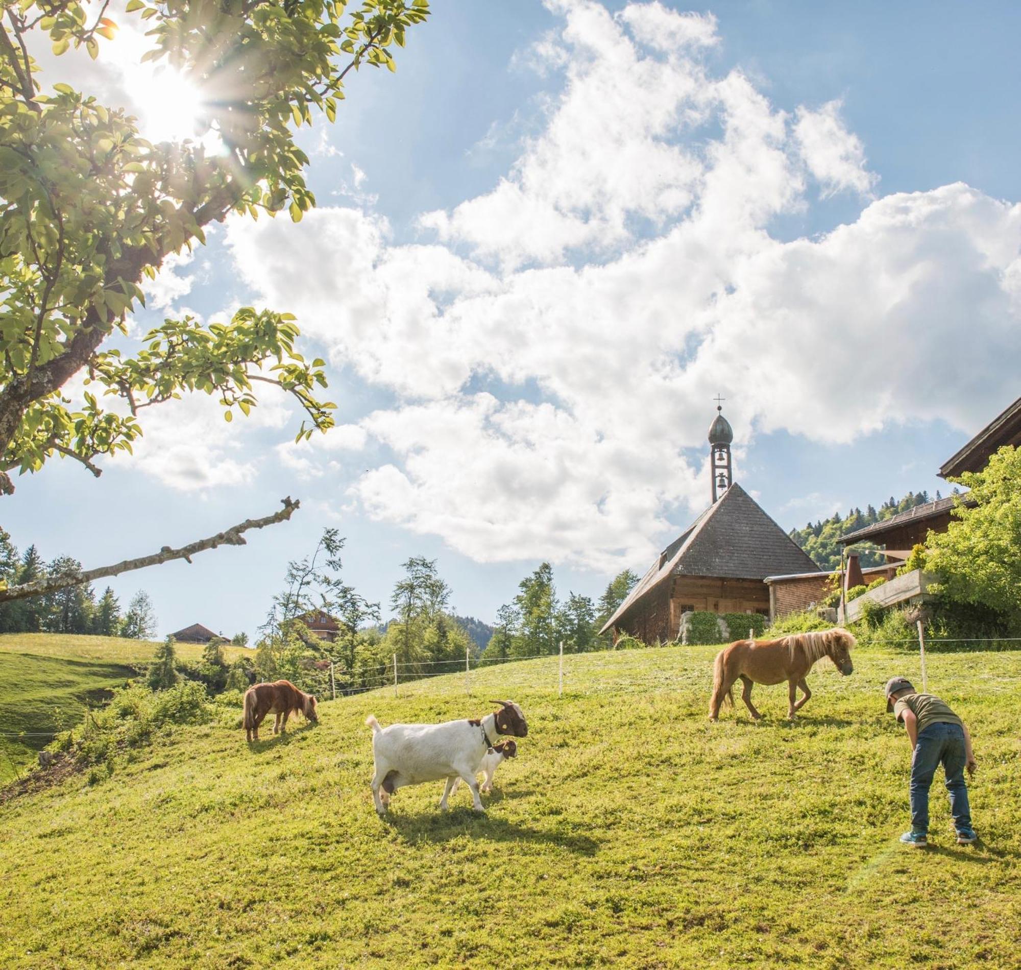 Вілла Bio Ferienbauernhof Greber Шварценберґ-ім-Бреґенцервальд Екстер'єр фото